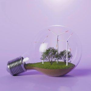 Green Futures: Maximizing Virtual Power Deals in India
