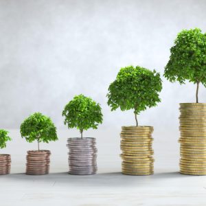 Balancing Risk and Reward: The Potential of Specialised Investment Funds