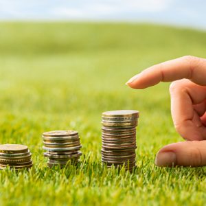 Unveiling the Impact: Amendments to the Green Debt Securities Regime