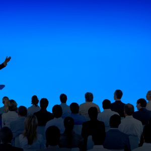 The Binding Nature Paradox of Ministerial Decisions: A Grey Area