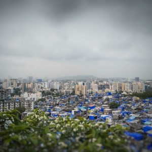 Analysis of the Proposed Amendments to the IBC