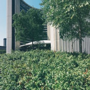 Garden Leave Clause: A Win-Win Scenario