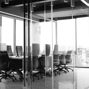 Reviewing the Standard of Liability of Independent Directors