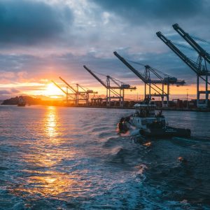 Impact of COVID-19 on International Trade in India