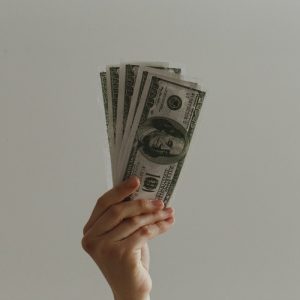 The Interface Between IBC and Foreign Investment Instruments
