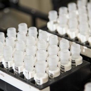 Indus Biotech Private Limited v. Kotak India Venture Fund-I: Arbitration Of Insolvency Proceedings?