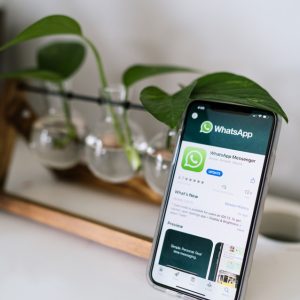 Hinged Upon Conjectures: A Meticulous Study of WhatsApp Leak Case