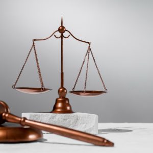 Ramkrishna Forgings Case – SC Upholds CoC’s Commercial Wisdom