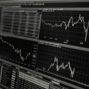 National Infrastructure and Investment Fund: An extension of the Indian Protectionist Economy