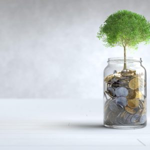Analyzing the Green Deposit Framework in India